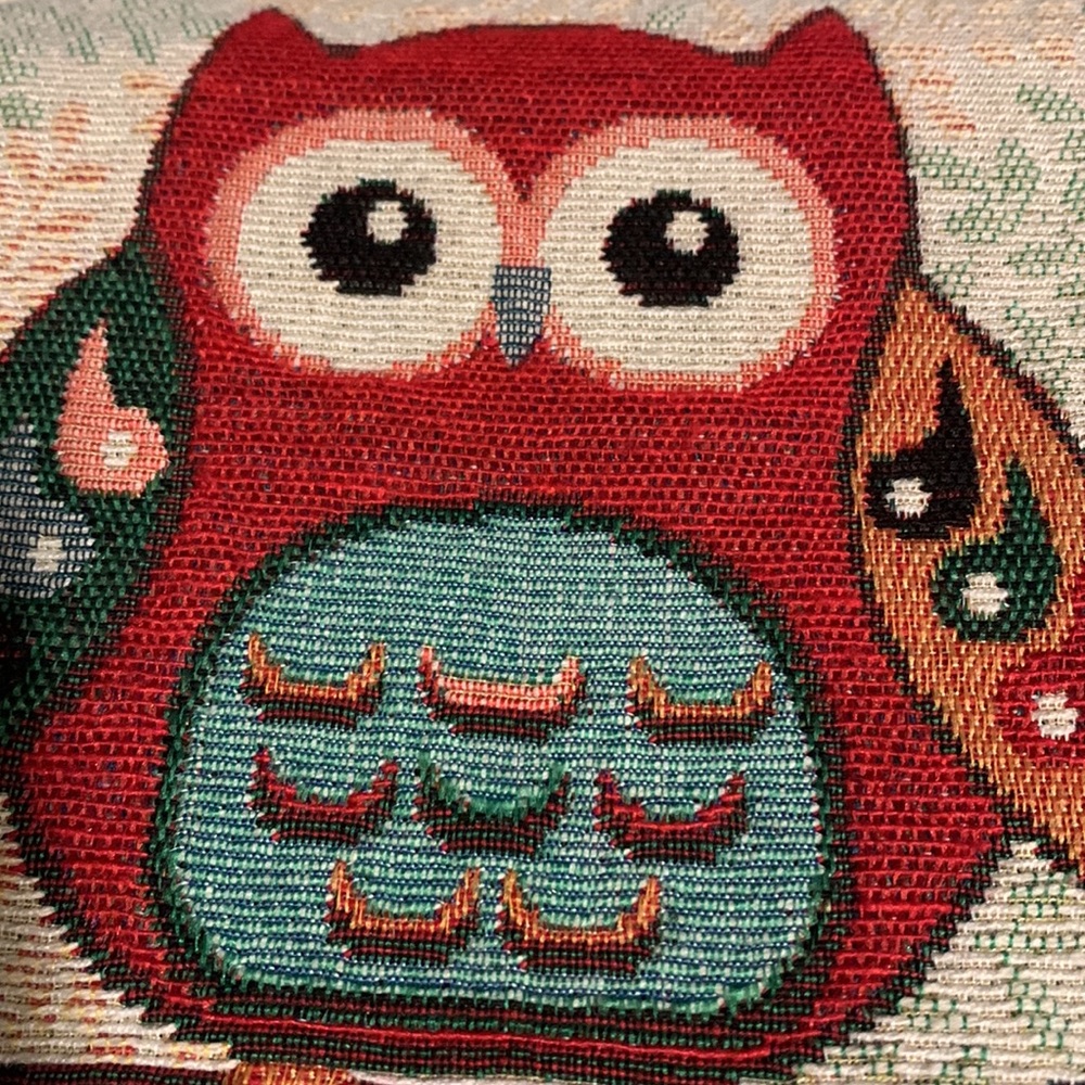 Canvas Style Owl Fringed Crossbody Bag NWOT - Picture 8 of 8